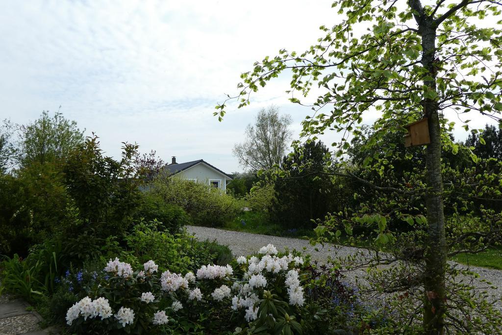 Ferienhaus-Silbermoewe Kappeln Buitenkant foto